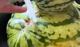 吃瓜搞笑声音大全下载免费,欢乐无限