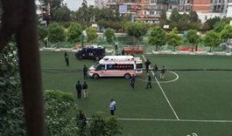 昆明小学爆料最新消息新闻,揭秘校园事件背后的真相