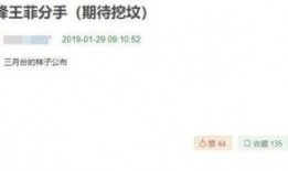 圈内爆料王菲谢霆锋的歌,王菲谢霆锋合唱背后的情感纠葛